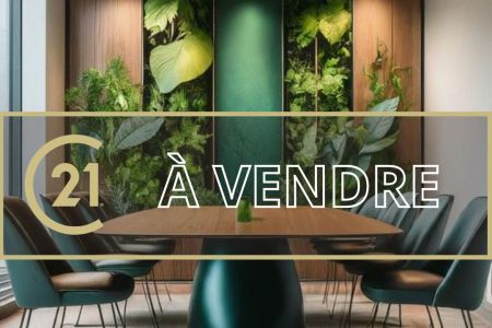 Galerie photo de l'annonce