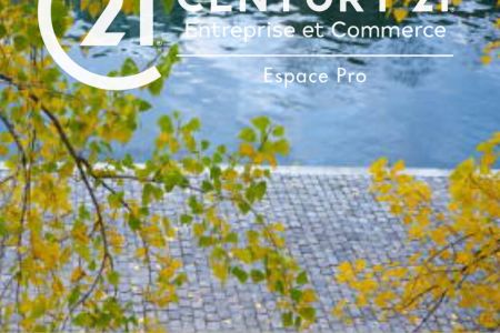 Galerie photo de l'annonce