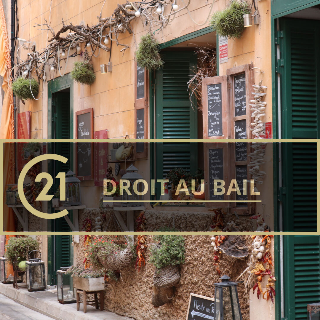 Droit au bail PONT L’EVEQUE